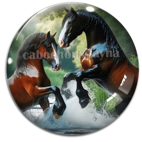 Cabochon cheval, cabochon résine ou verre rond différente taille