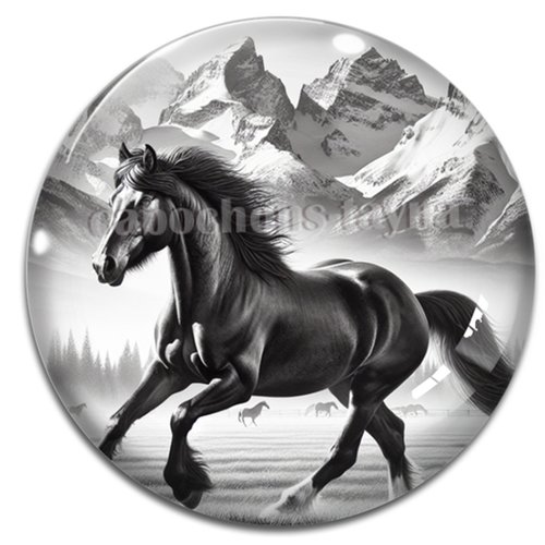 Cabochon cheval, cabochon résine ou verre rond différente taille