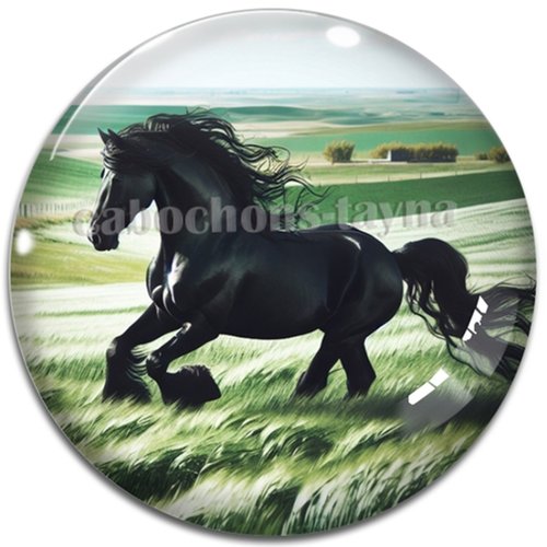 Cabochon cheval, cabochon résine ou verre rond différente taille