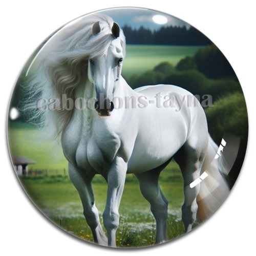 Cabochon cheval, cabochon résine ou verre rond différente taille