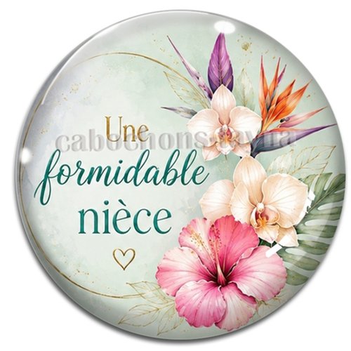 Cabochon une formidable nièce, résine ou verre rond différente taille