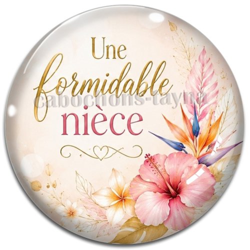 Cabochon une formidable nièce, résine ou verre rond différente taille