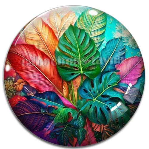 Cabochon feuille exotique, cabochon résine - ou verre rond différente taille