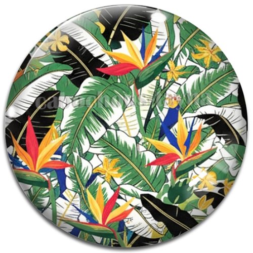 Cabochon feuille exotique, cabochon résine - ou verre rond différente taille