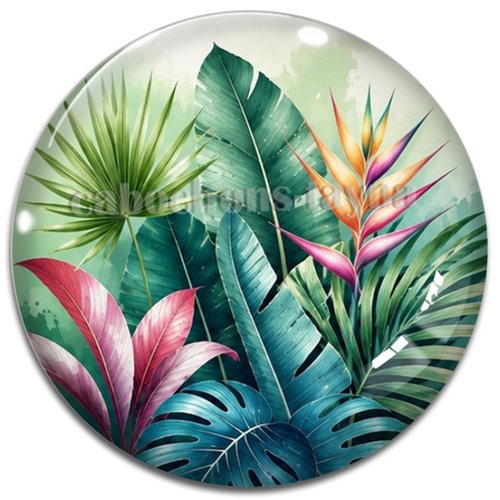 Cabochon feuille exotique, cabochon résine - ou verre rond différente taille