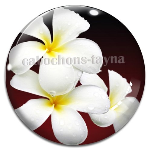 Cabochon fleurs exotiques, résine ou verre rond différente taille