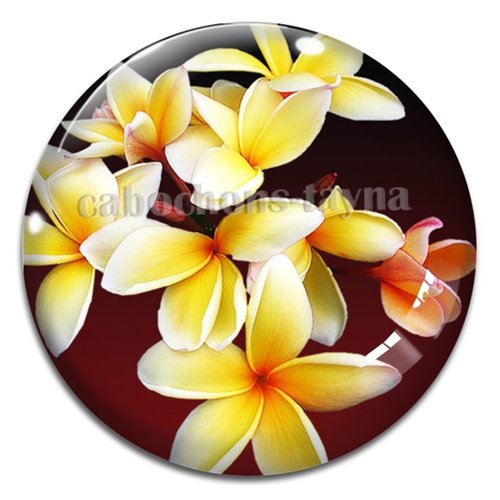 Cabochon fleurs exotiques, résine ou verre rond différente taille