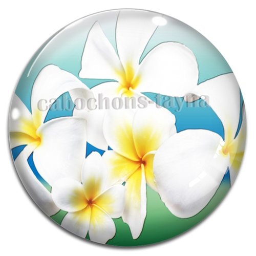 Cabochon fleurs exotiques, résine ou verre rond différente taille