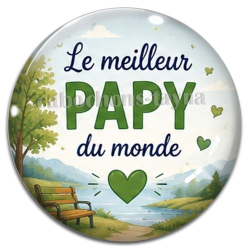 Cabochon le meilleur papy du monde, résine ou verre rond différente taille