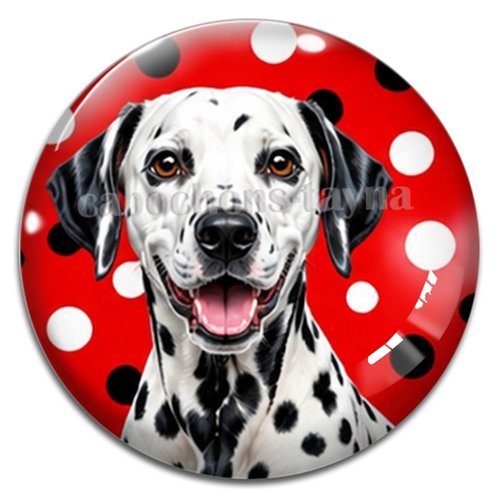 Cabochon chien, résine ou verre rond différente taille