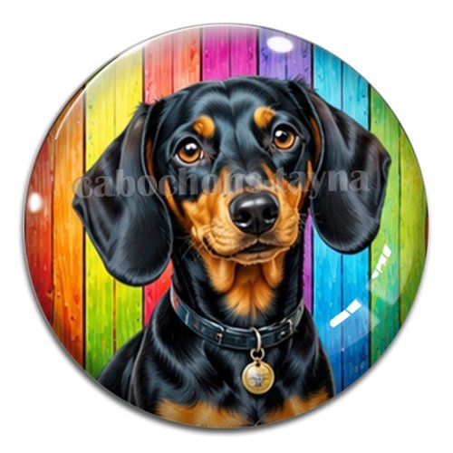 Cabochon chien, résine ou verre rond différente taille