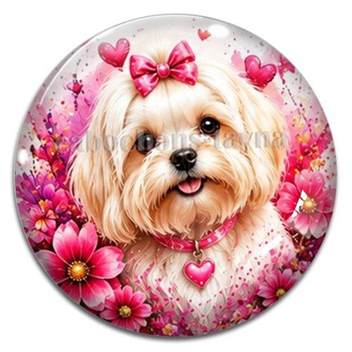 Cabochon chien, résine ou verre rond différente taille