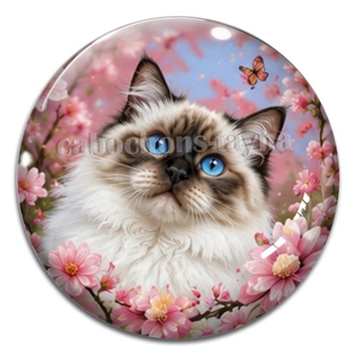 Cabochon chat, résine ou verre rond différente taille