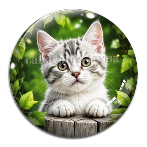 Cabochon chat, résine ou verre rond différente taille