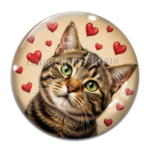 Cabochon chat, résine ou verre rond différente taille