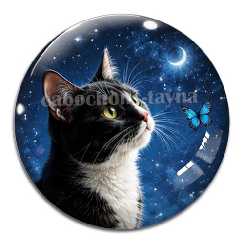 Cabochon chat, résine ou verre rond différente taille