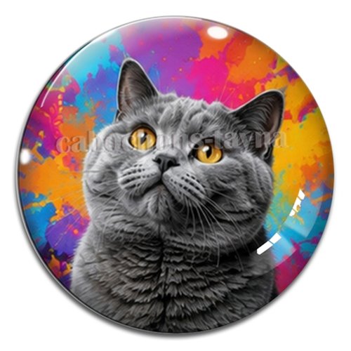 Cabochon chat, résine ou verre rond différente taille