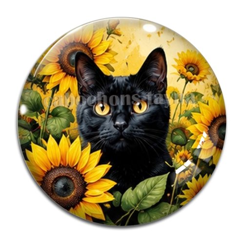 Cabochon chat, résine ou verre rond différente taille
