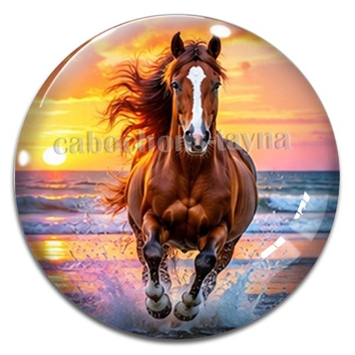 Cabochon cheval, cabochon résine ou verre rond différente taille