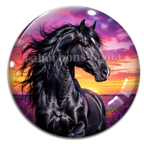 Cabochon cheval, cabochon résine ou verre rond différente taille