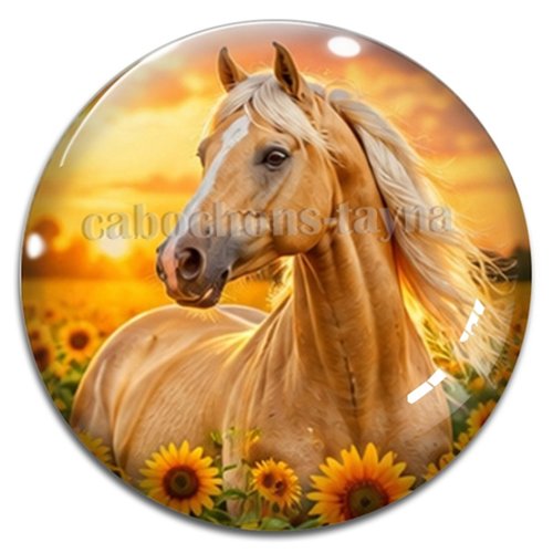 Cabochon cheval, cabochon résine ou verre rond différente taille