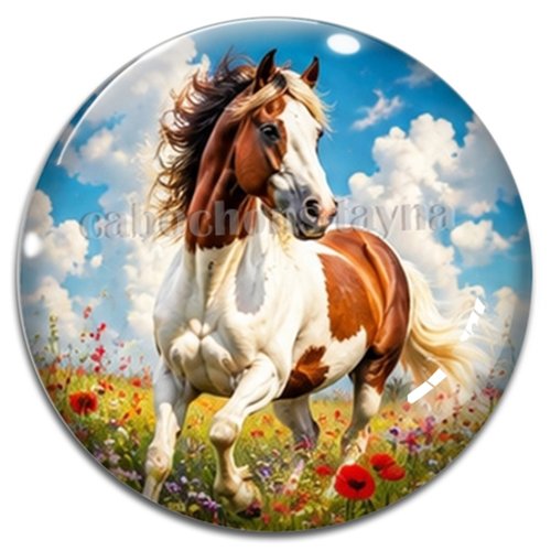 Cabochon cheval, cabochon résine ou verre rond différente taille