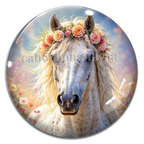 Cabochon cheval, cabochon résine ou verre rond différente taille