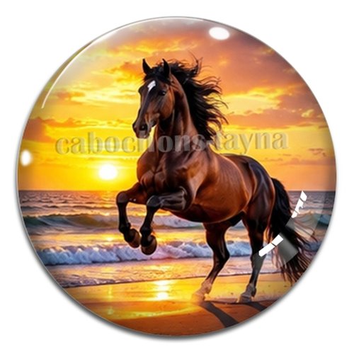 Cabochon cheval, cabochon résine ou verre rond différente taille