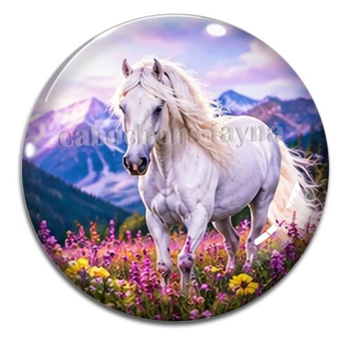 Cabochon cheval, cabochon résine ou verre rond différente taille