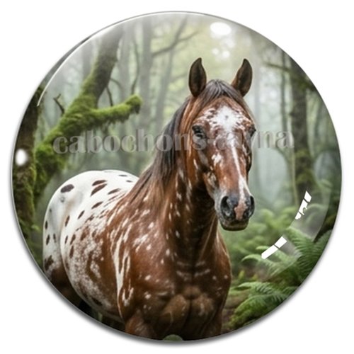 Cabochon cheval, cabochon résine ou verre rond différente taille