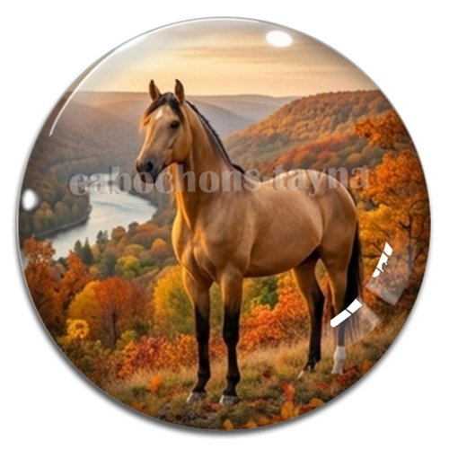 Cabochon cheval, cabochon résine ou verre rond différente taille