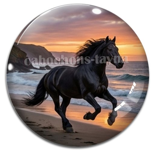Cabochon cheval, cabochon résine ou verre rond différente taille