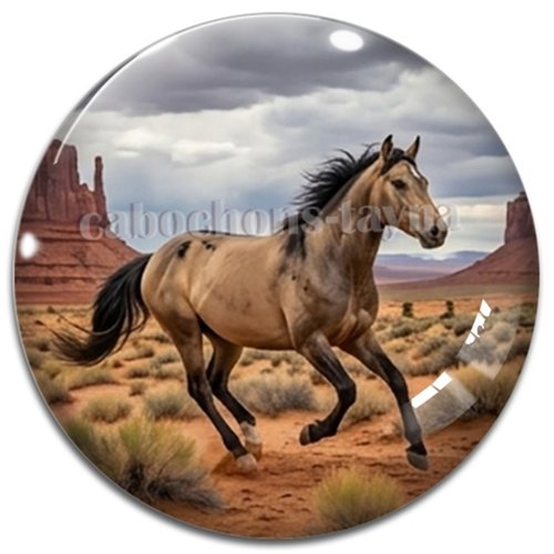 Cabochon cheval, cabochon résine ou verre rond différente taille