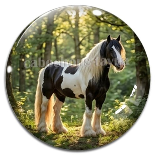 Cabochon cheval, cabochon résine ou verre rond différente taille