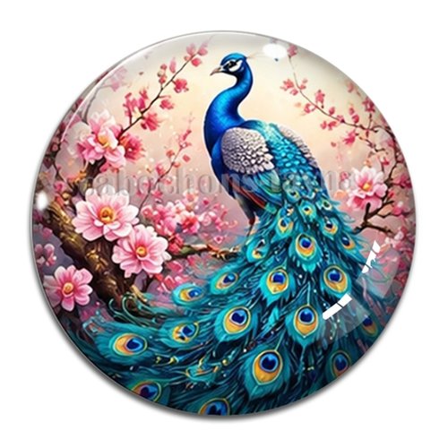 Cabochon paon, cabochon résine ou verre rond différente taille
