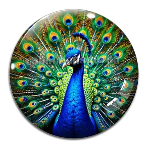 Cabochon paon, cabochon résine ou verre rond différente taille