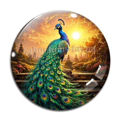 Cabochon paon, cabochon résine ou verre rond différente taille