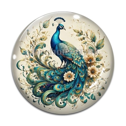 Cabochon paon, cabochon résine ou verre rond différente taille