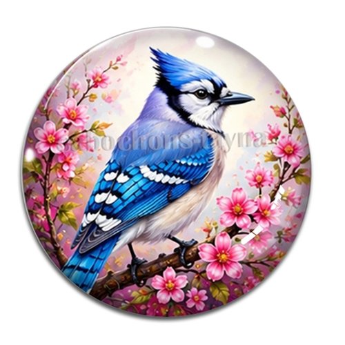 Cabochon oiseaux, cabochon résine ou verre rond différente taille