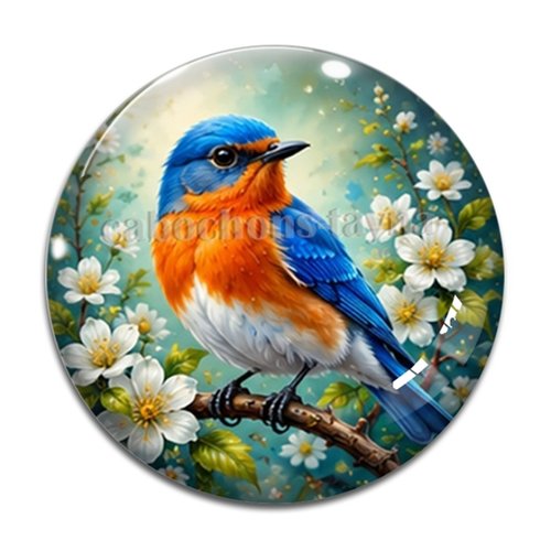 Cabochon oiseaux, cabochon résine ou verre rond différente taille
