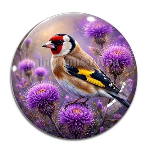 Cabochon oiseaux, cabochon résine ou verre rond différente taille