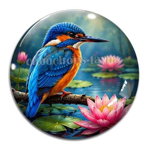 Cabochon oiseaux, cabochon résine ou verre rond différente taille