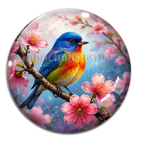 Cabochon oiseaux, cabochon résine ou verre rond différente taille
