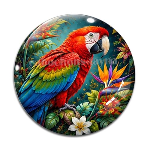 Cabochon perroquet, cabochon résine ou verre rond différente taille