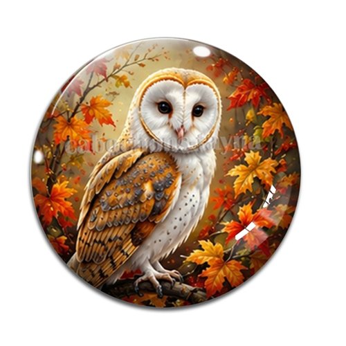 Cabochon hibou, en résine ou en verre différente taille
