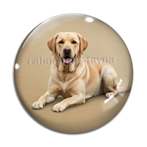 Cabochon chien, résine ou verre rond différente taille