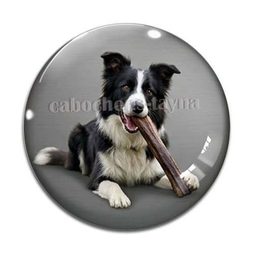 Cabochon chien, résine ou verre rond différente taille