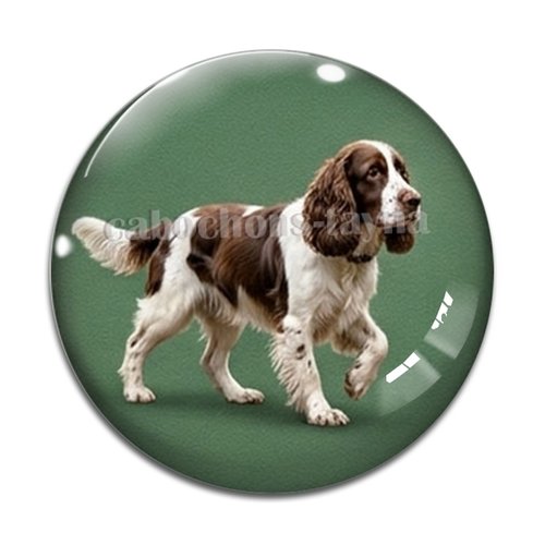 Cabochon chien, résine ou verre rond différente taille