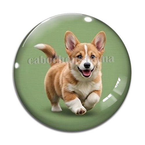 Cabochon chien, résine ou verre rond différente taille