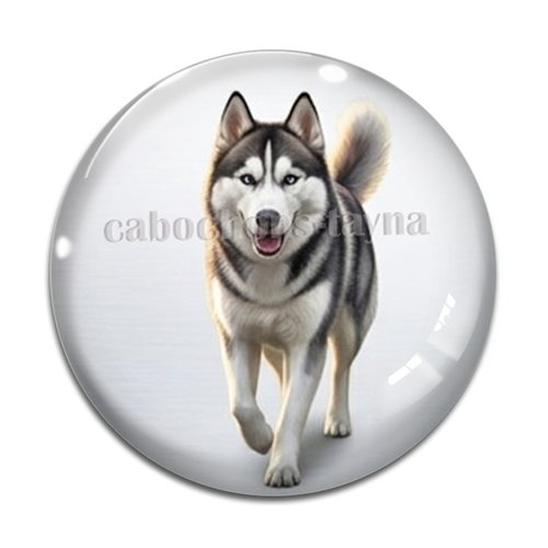 Cabochon chien, résine ou verre rond différente taille